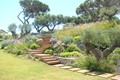 JARDINIER PAYSAGISTE GOLFE DE SAINT-TROPEZ